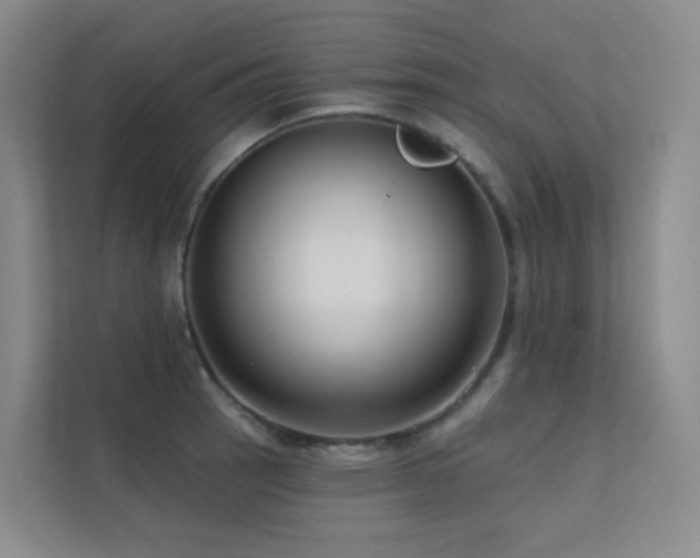 X0000113201137200909101107