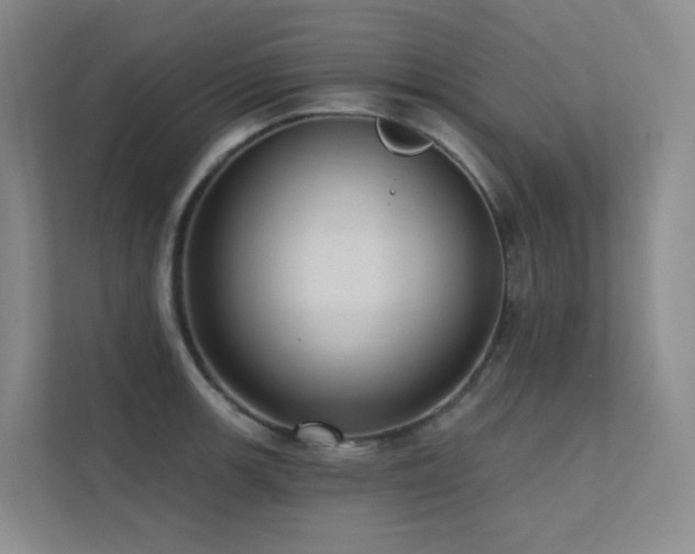 X0000113201139200909101107