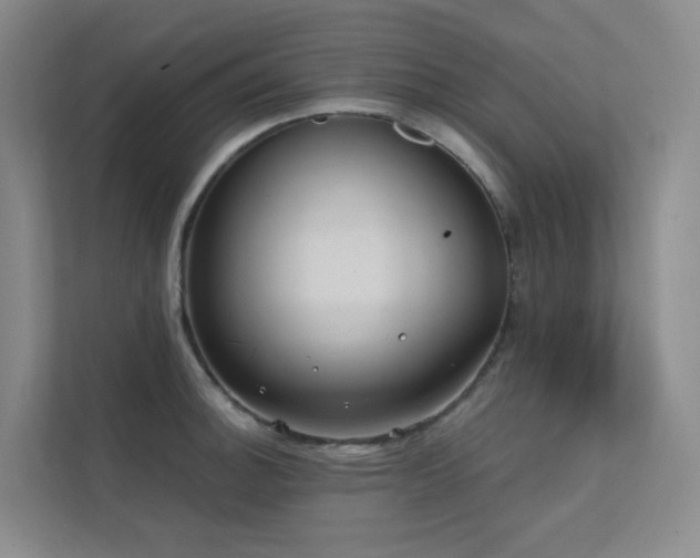 X0000113201140200909101107