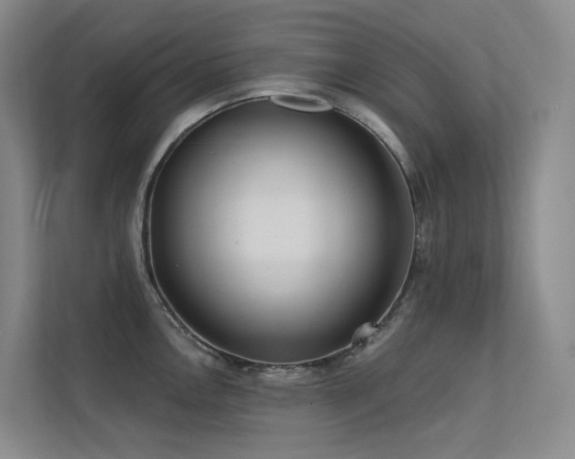 X0000113201146200909101107