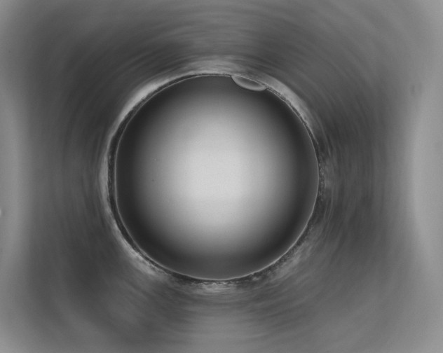 X0000113201147200909101107