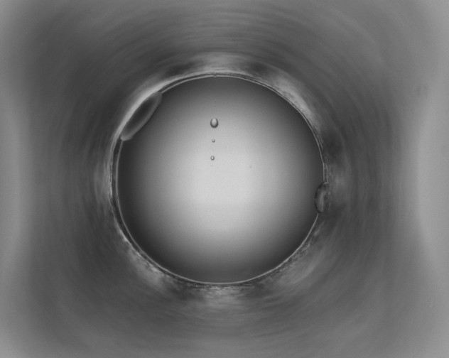 X0000113201148200909101107