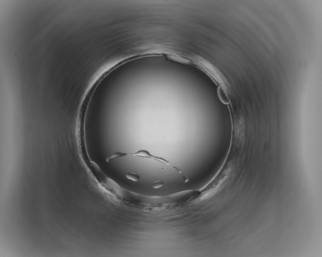 X0000113201149200909101107