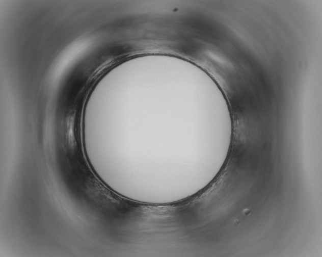 X0000113201150200909101107