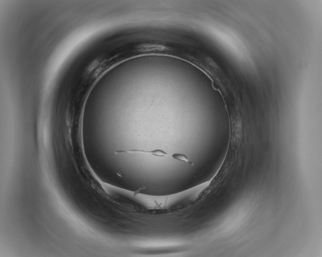 X0000113201151200909101107