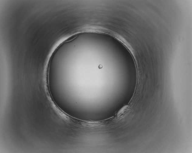 X0000113201152200909101107