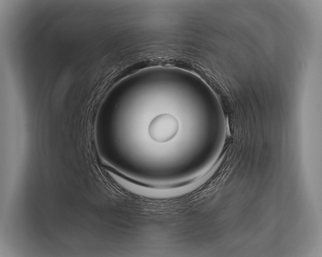 X0000113201153200909101106