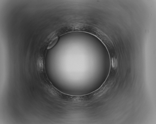 X0000113201155200909101106