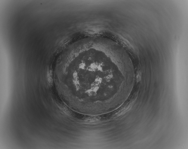 X0000113201156200909101106