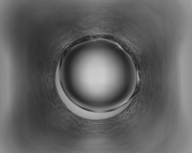 X0000113201157200909101106