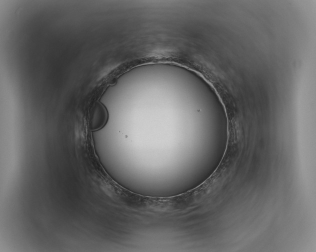 X0000113201158200909101106