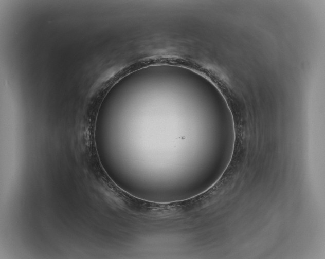 X0000113201159200909101106