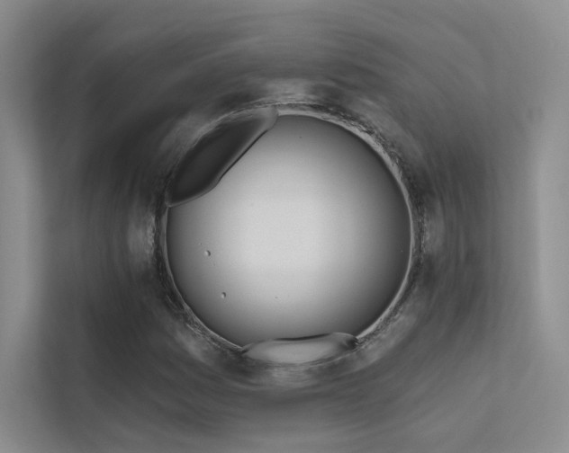 X0000113201161200909101106