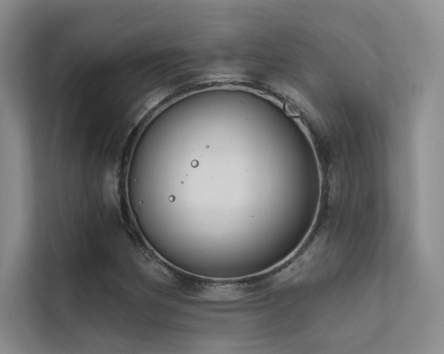 X0000113201162200909101106