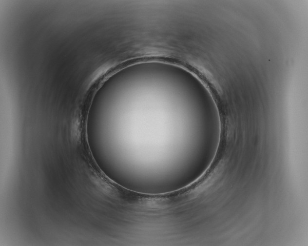 X0000113201163200909101106