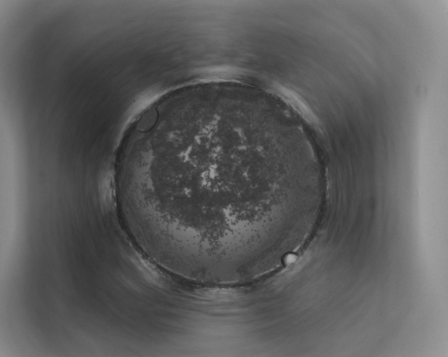 X0000113201164200909101106