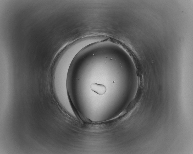 X0000113201165200909101106