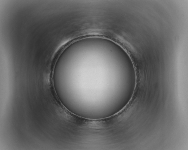 X0000113201166200909101106