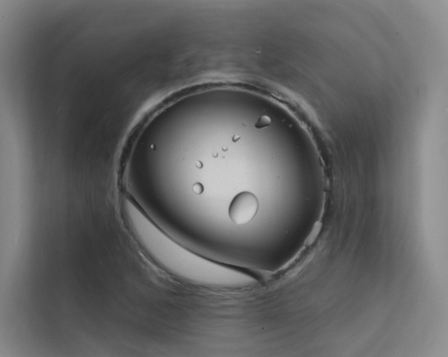 X0000113201168200909101106