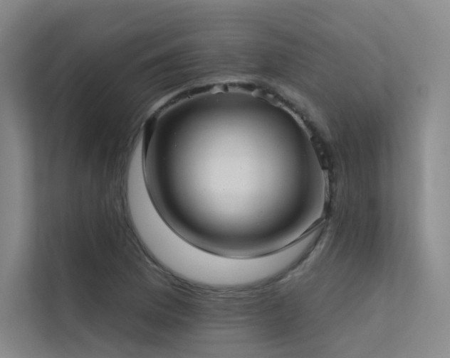 X0000113201169200909101106