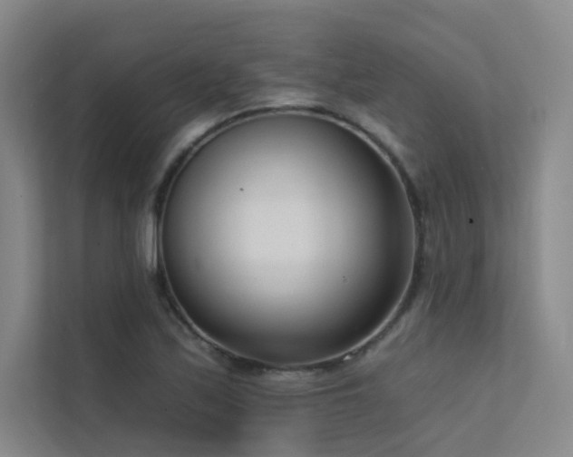 X0000113201171200909101106