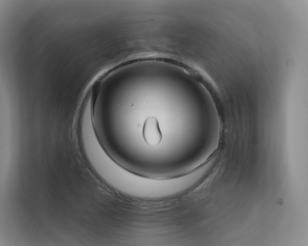 X0000113201173200909101106