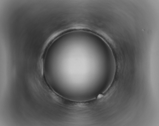 X0000113201175200909101106