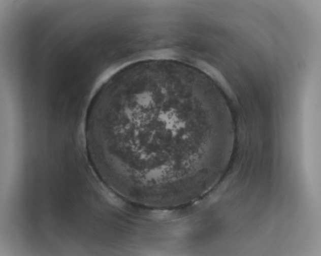 X0000113201176200909101106