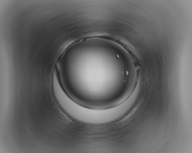 X0000113201177200909101106