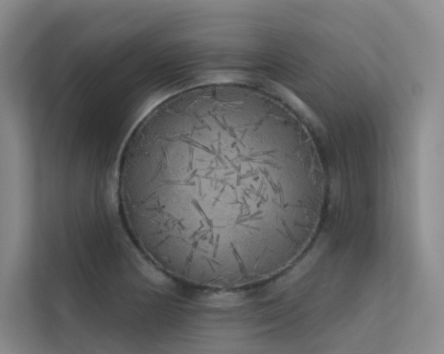 X0000113201178200909101106