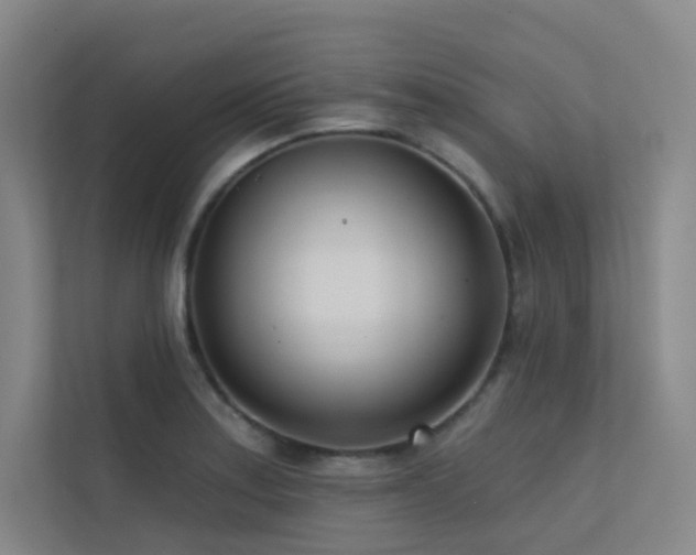 X0000113201179200909101106