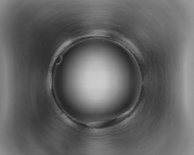 X0000113201180200909101106