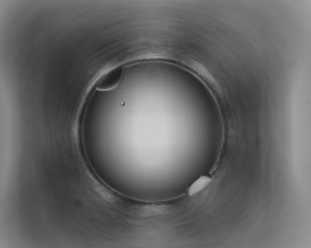 X0000113201181200909101106