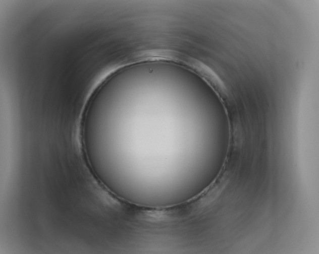 X0000113201182200909101106