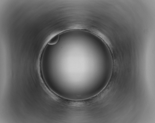 X0000113201187200909101106