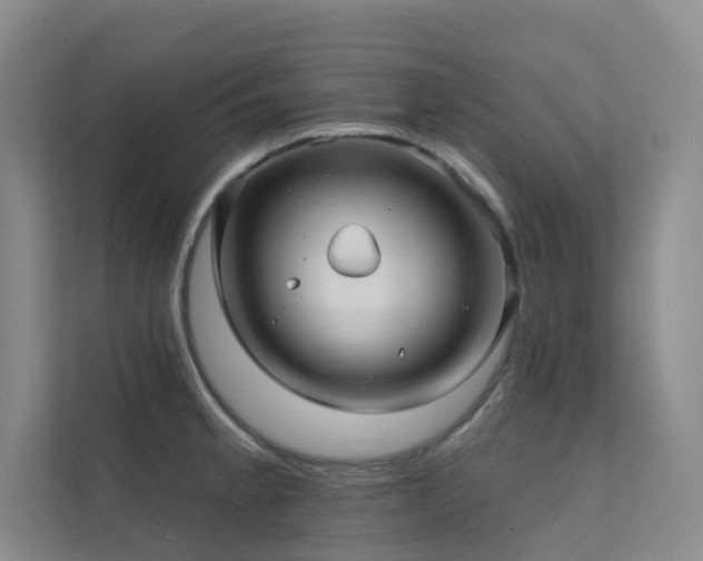 X0000113201189200909101106