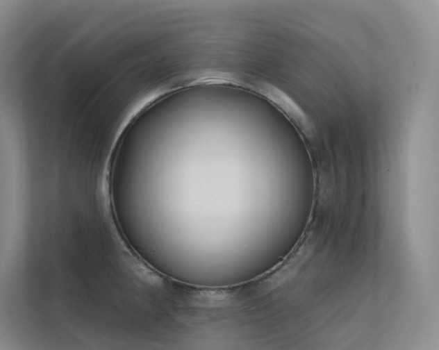 X0000113201190200909101106