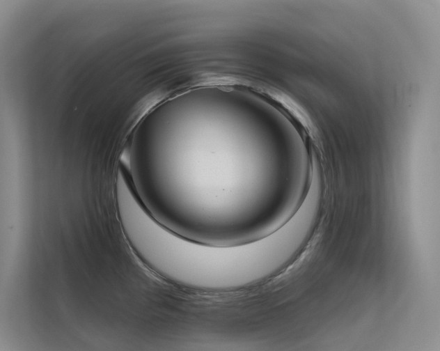 X0000113201193200909101106