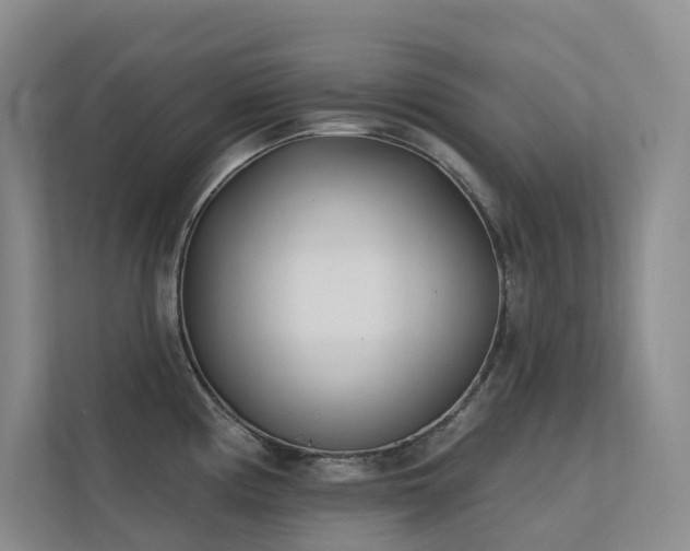 X0000113201194200909101106