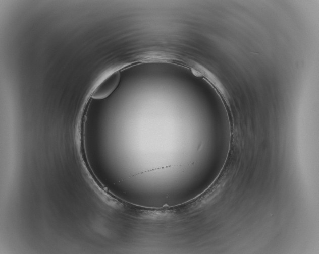 X0000113201195200909101106