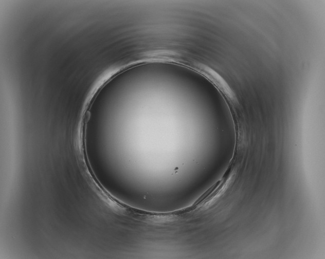 X0000113201196200909101106