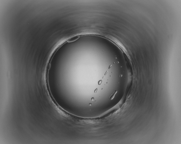 X0000113201197200909101106