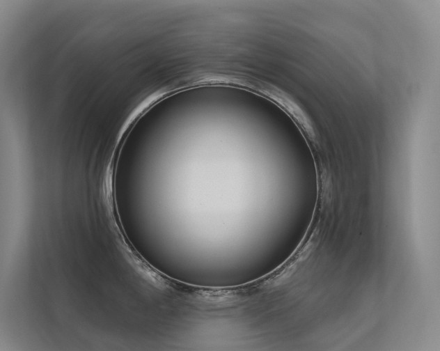 X0000113201198200909101105