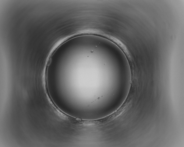 X0000113201199200909101105