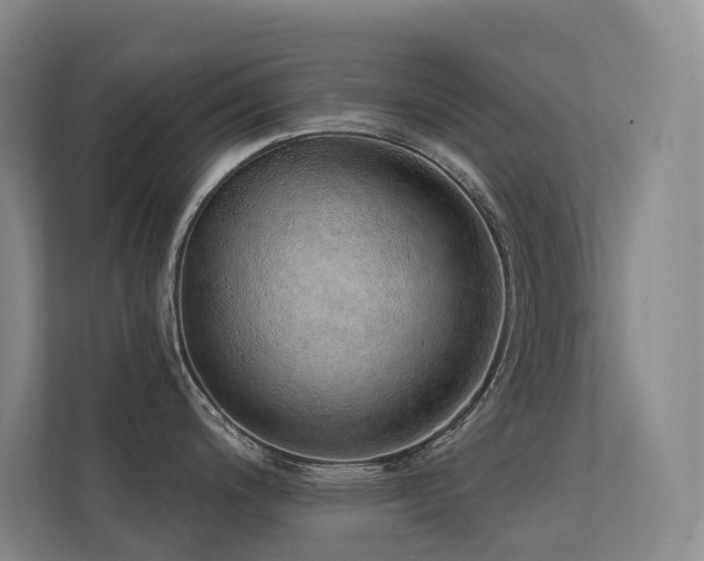 X0000113201200200909101105