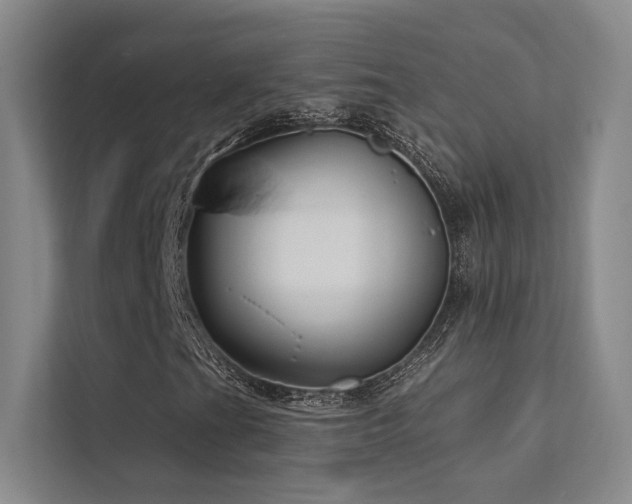 X0000113201201200909101105