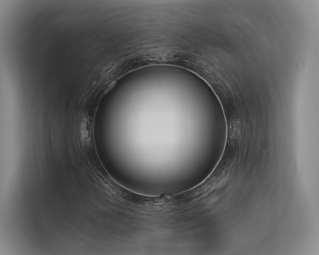 X0000113201202200909101105