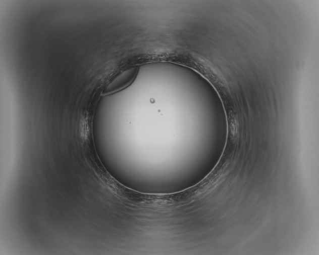 X0000113201204200909101105