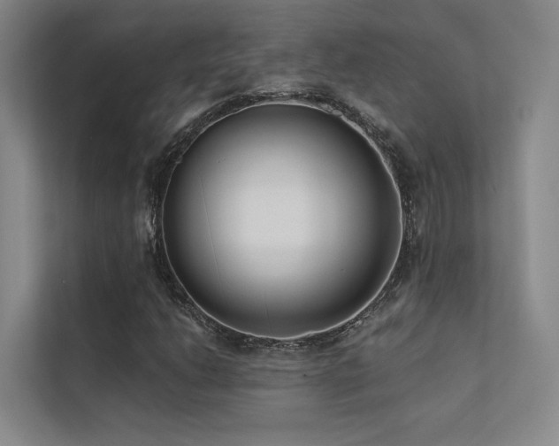 X0000113201206200909101105