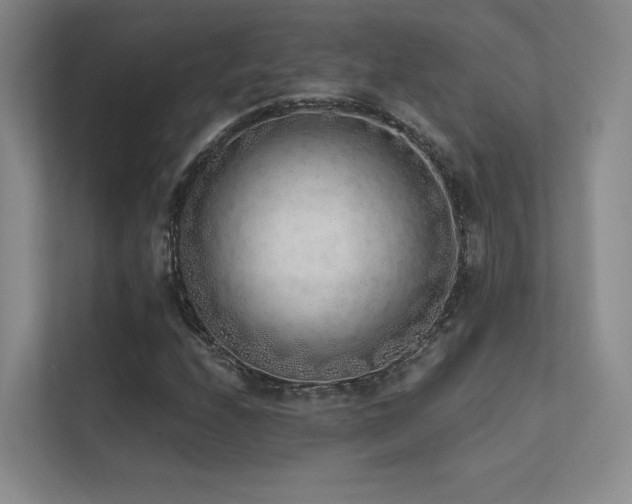 X0000113201208200909101105